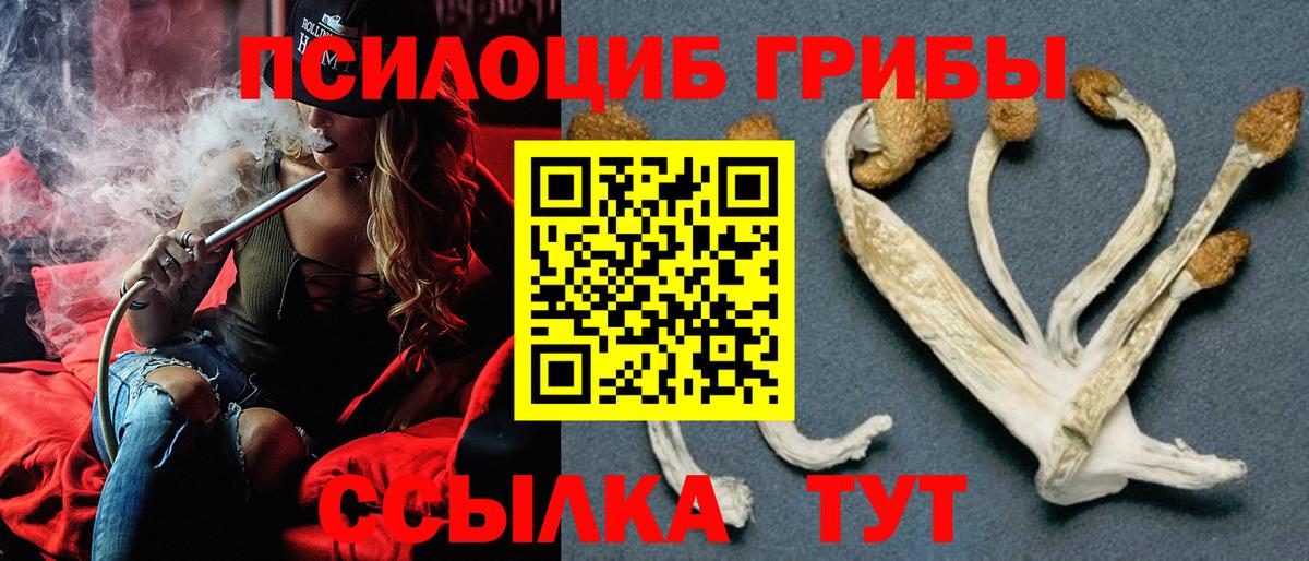 Миллерово  Псилоцибиновые грибы мицелий  Вход с VPN 